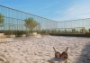 Beach tenis